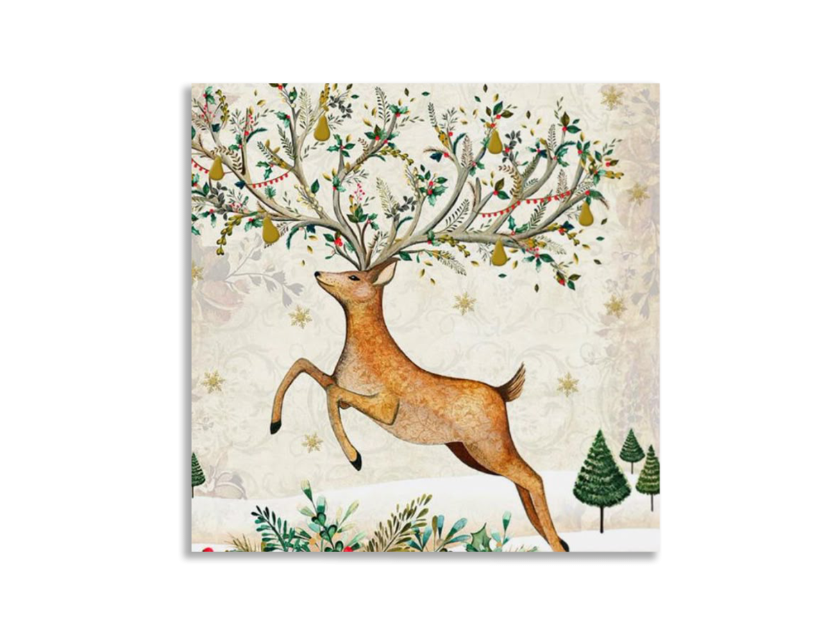 Second product image