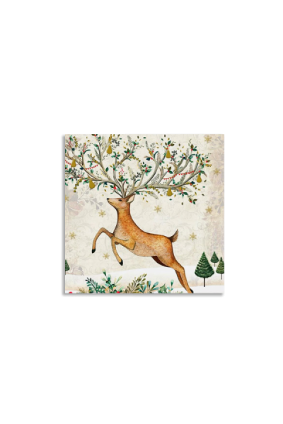 2square-test second upload5